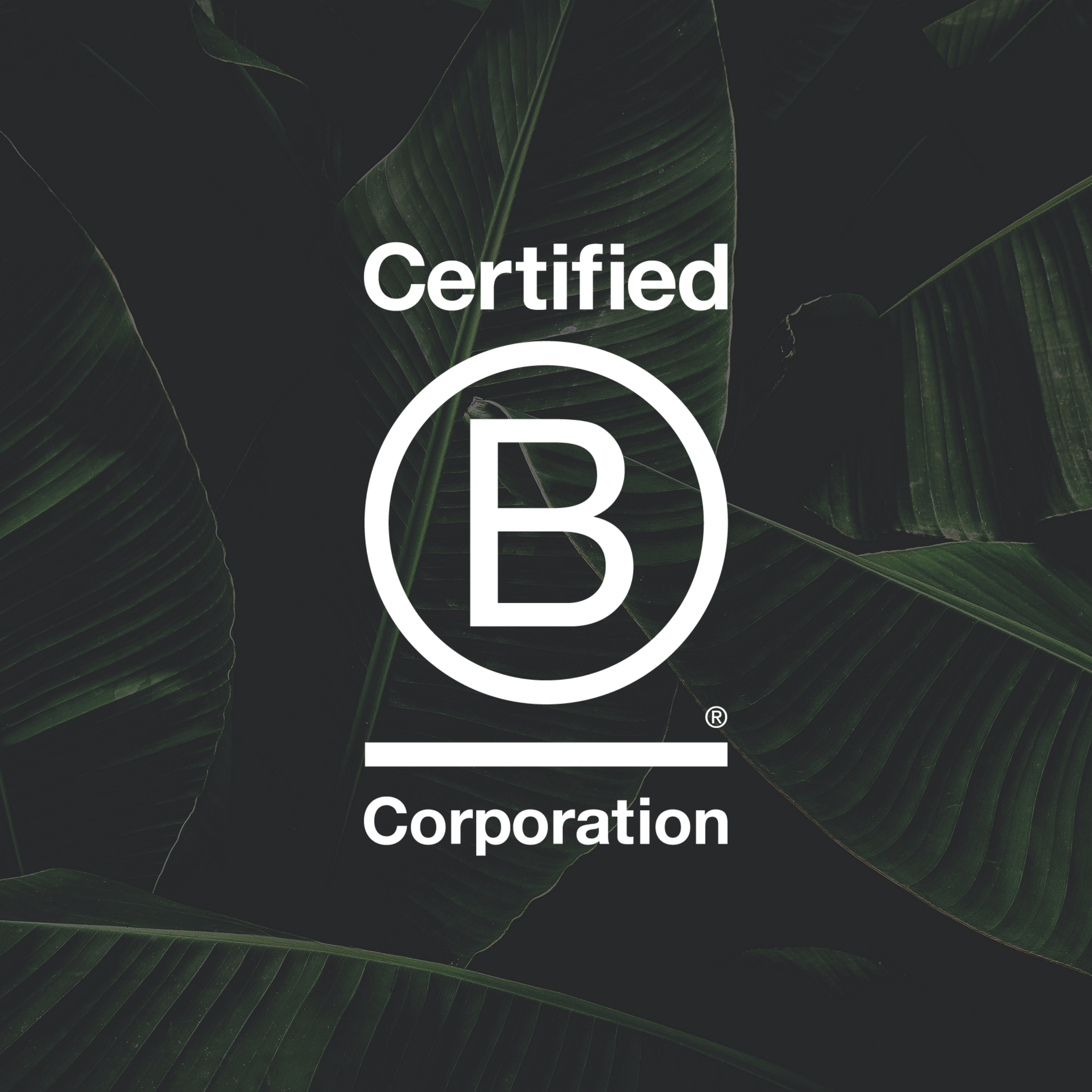 We're proudly a B Corporation.